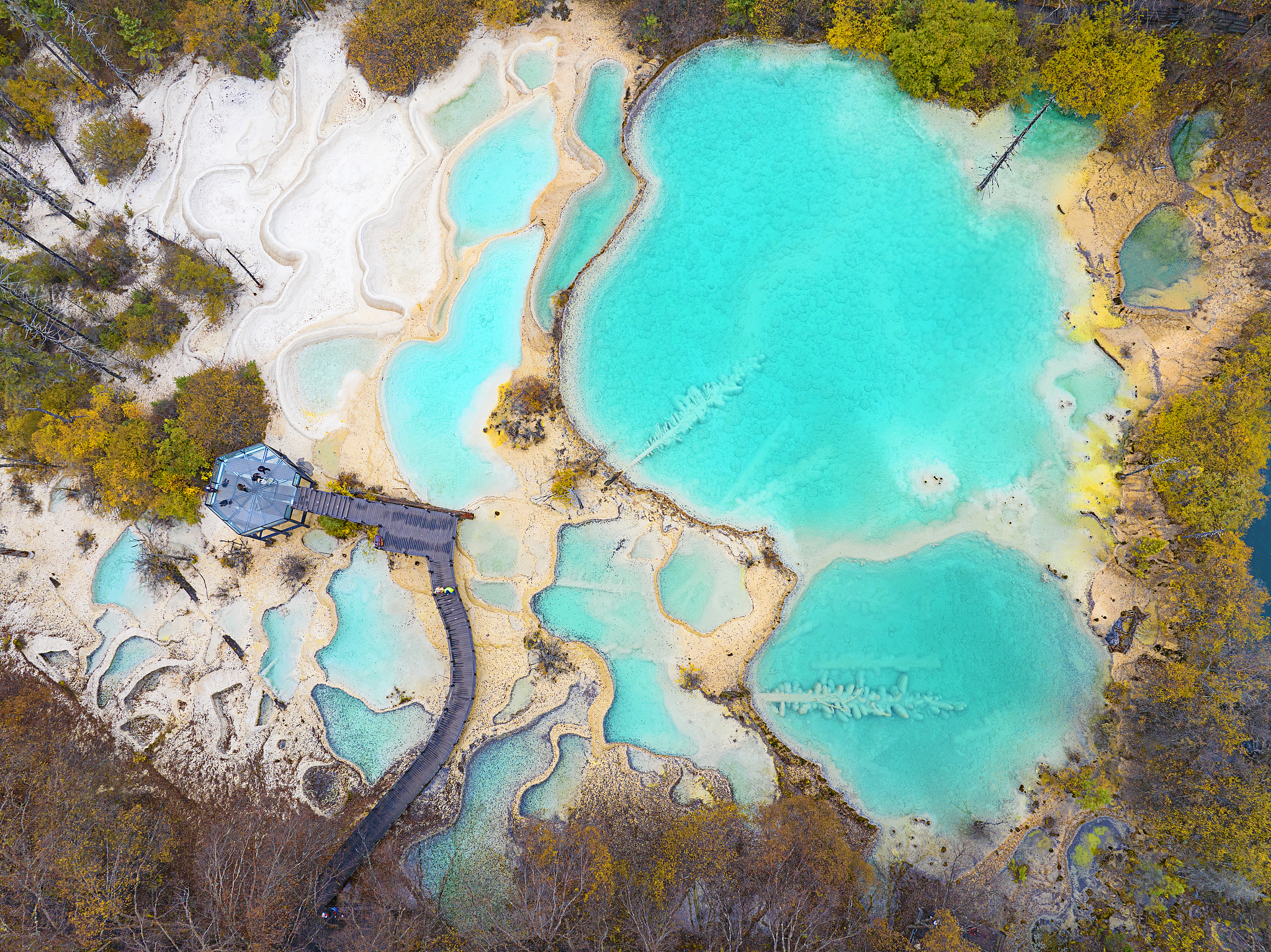 A view of the Fairy Pool scenic area in Jiuzhaigou County, Sichuan Province, October 26, 2024. /CFP