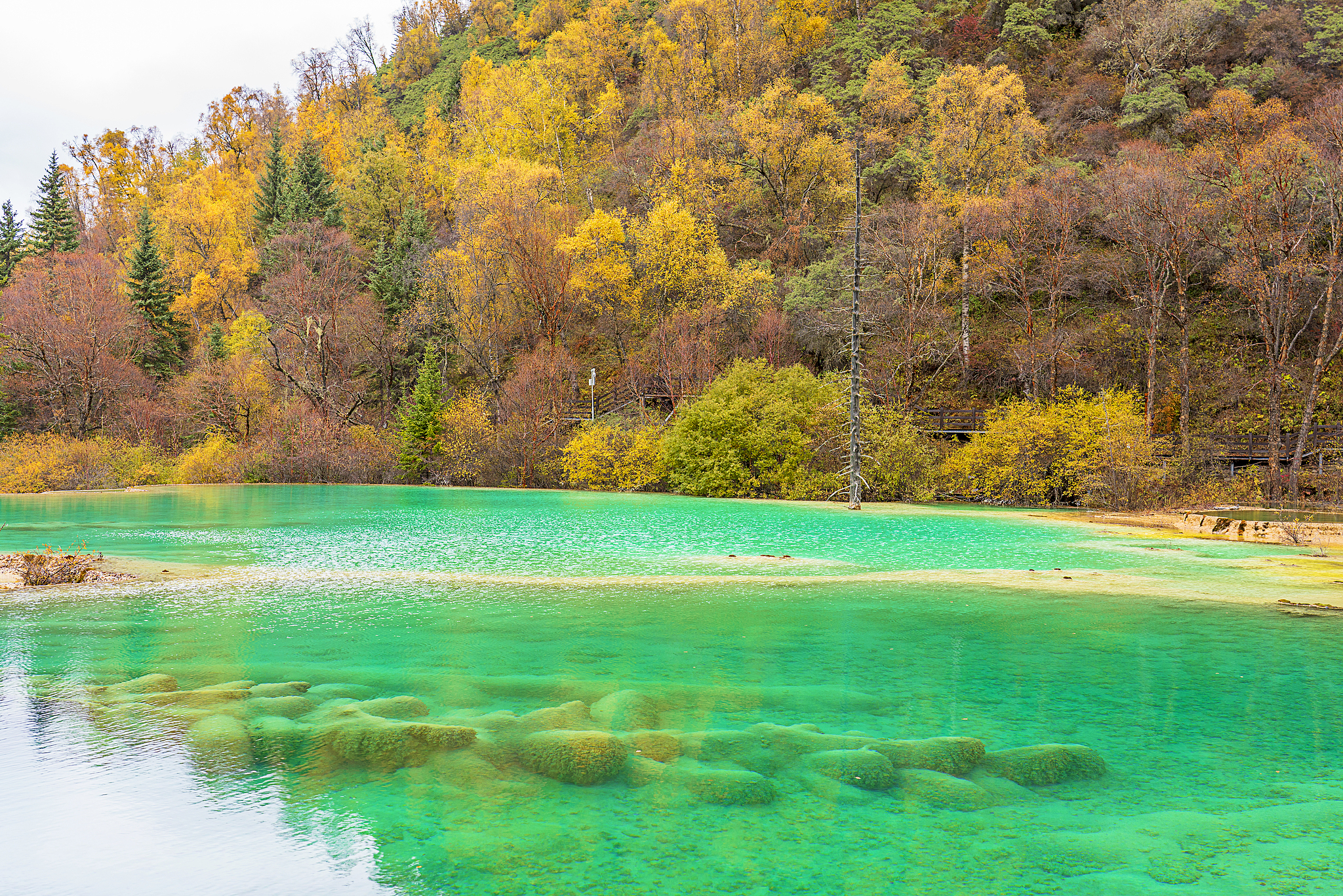 A view of the Fairy Pool scenic area in Jiuzhaigou County, Sichuan Province, October 26, 2024. /CFP