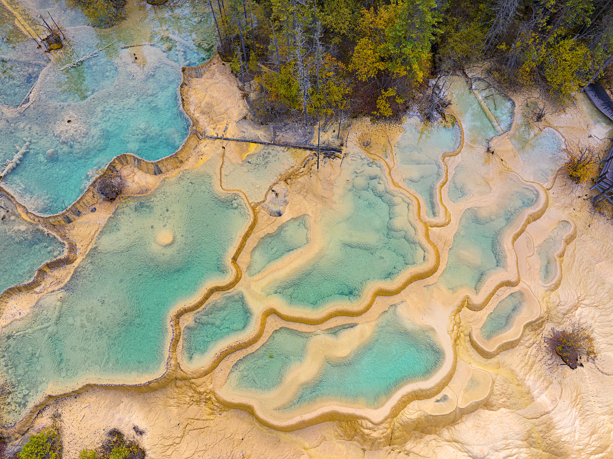 A view of the Fairy Pool scenic area in Jiuzhaigou County, Sichuan Province, October 26, 2024. /CFP