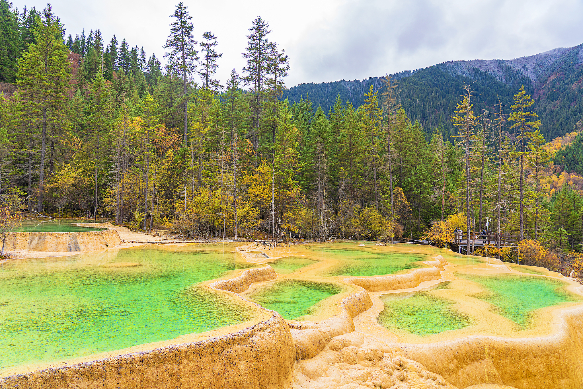 A view of the Fairy Pool scenic area in Jiuzhaigou County, Sichuan Province, October 26, 2024. /CFP