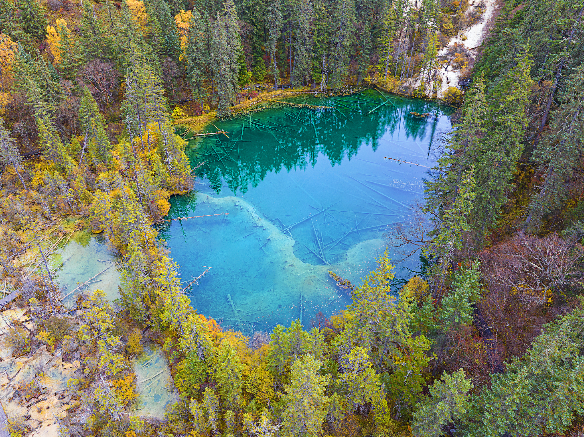 A view of the Fairy Pool scenic area in Jiuzhaigou County, Sichuan Province, October 26, 2024. /CFP