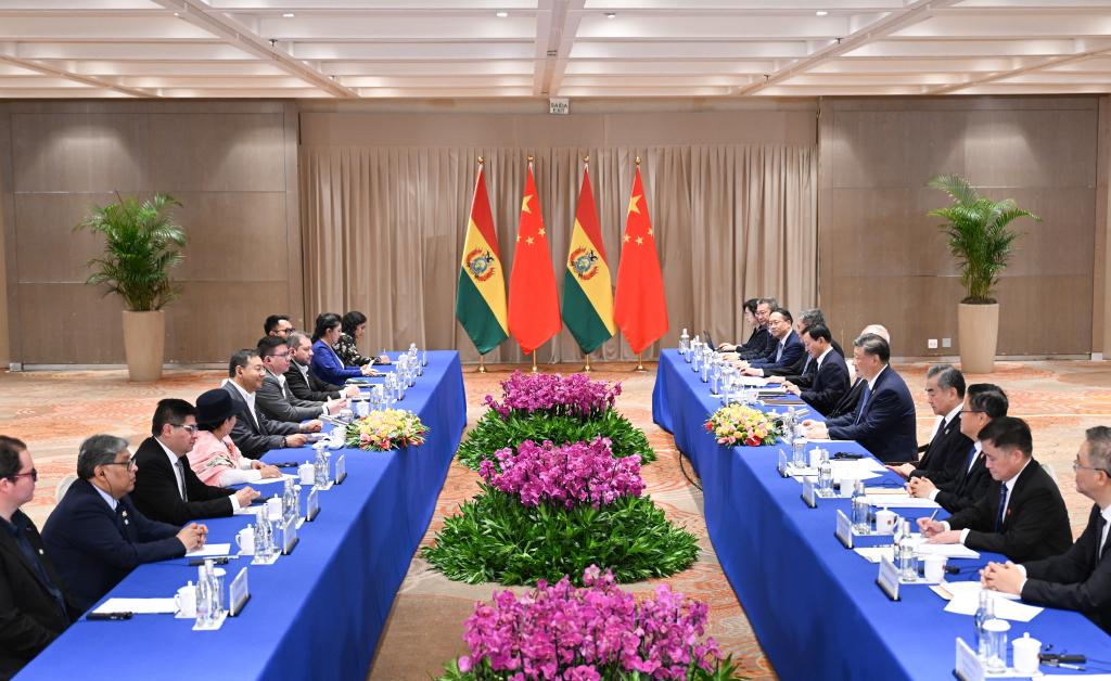 Chinese President Xi Jinping meets with Bolivian President Luis Arce on the sidelines of the G20 summit in Rio de Janeiro, Brazil, November 19, 2024. /Xinhua