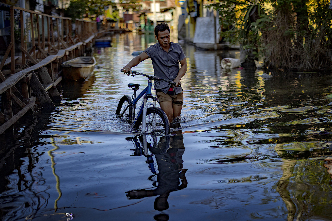 A resident pushes his bike across floodwater in Dela Paz village, which remains flooded since Tropical Storm Trami hit a month ago in Binan, Laguna province, Philippines, November 20, 2024. /CFP