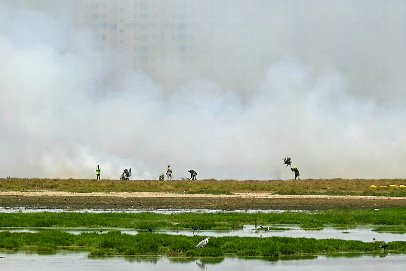 Due to summer heat, forest personnel douse fire as smoke billows at a marshland in Perumbakkam, a suburb of Chennai, India, May 31, 2024. /CFP