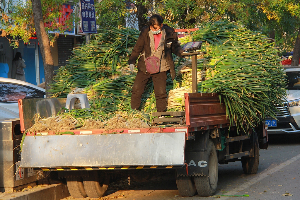 A file photo shows a woman selling spring onions from the back of a truck in Shenyang, Liaoning Province. /CFP