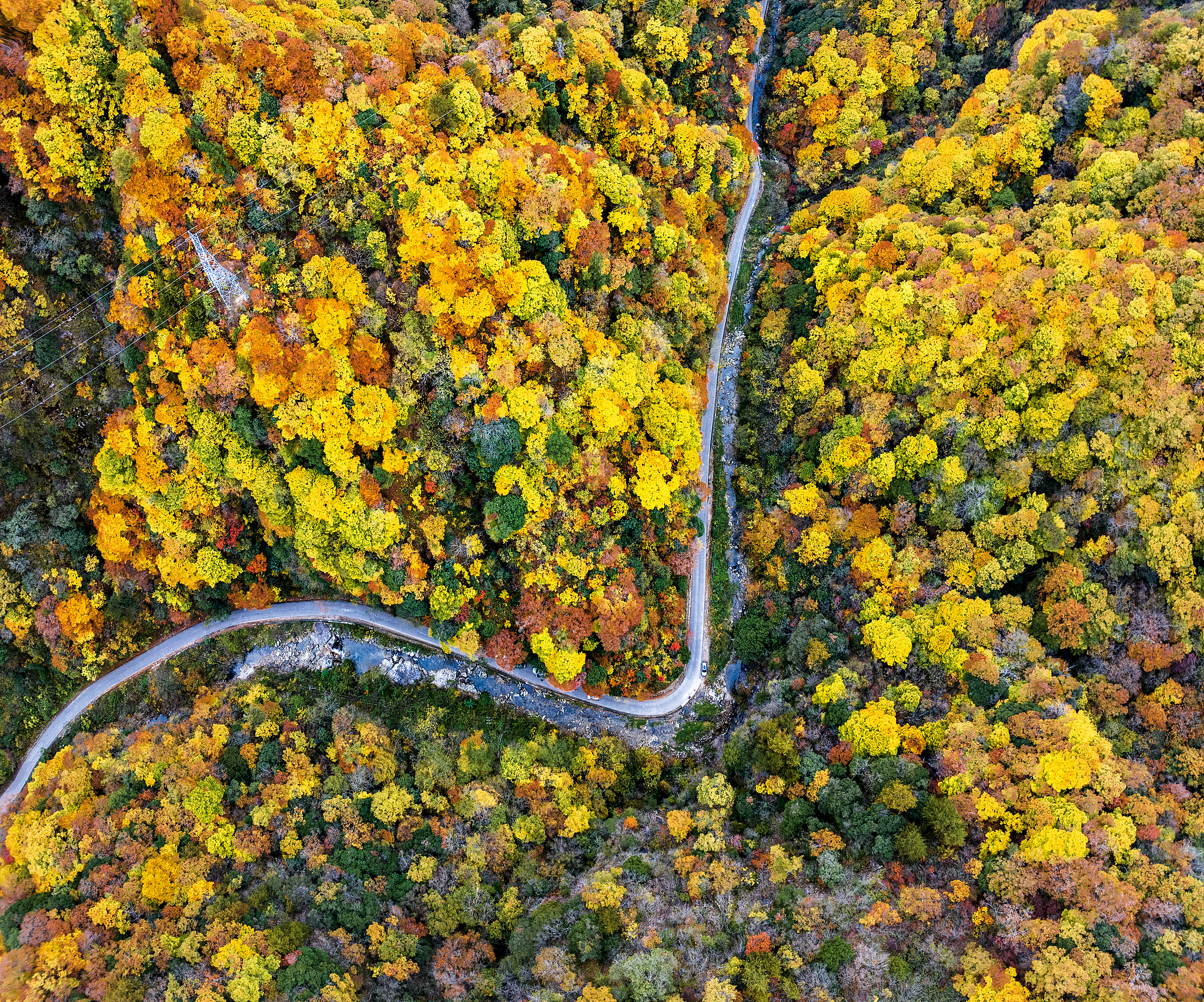 A view of an oil painting-like forest at Yangxian County in Hanzhong, Shaanxi Province, November 6, 2024. /CFP