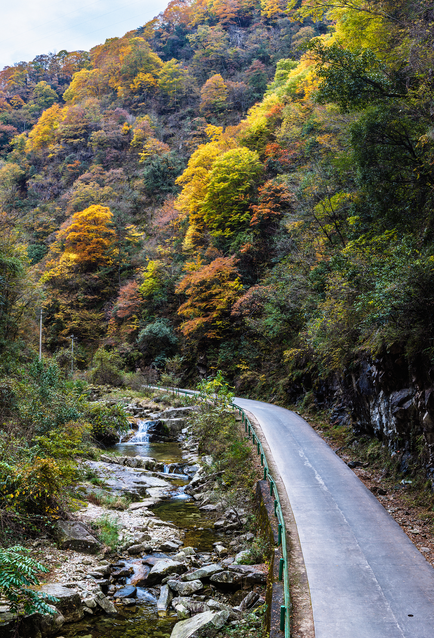 A view of an oil painting-like forest at Yangxian County in Hanzhong, Shaanxi Province, November 6, 2024. /CFP