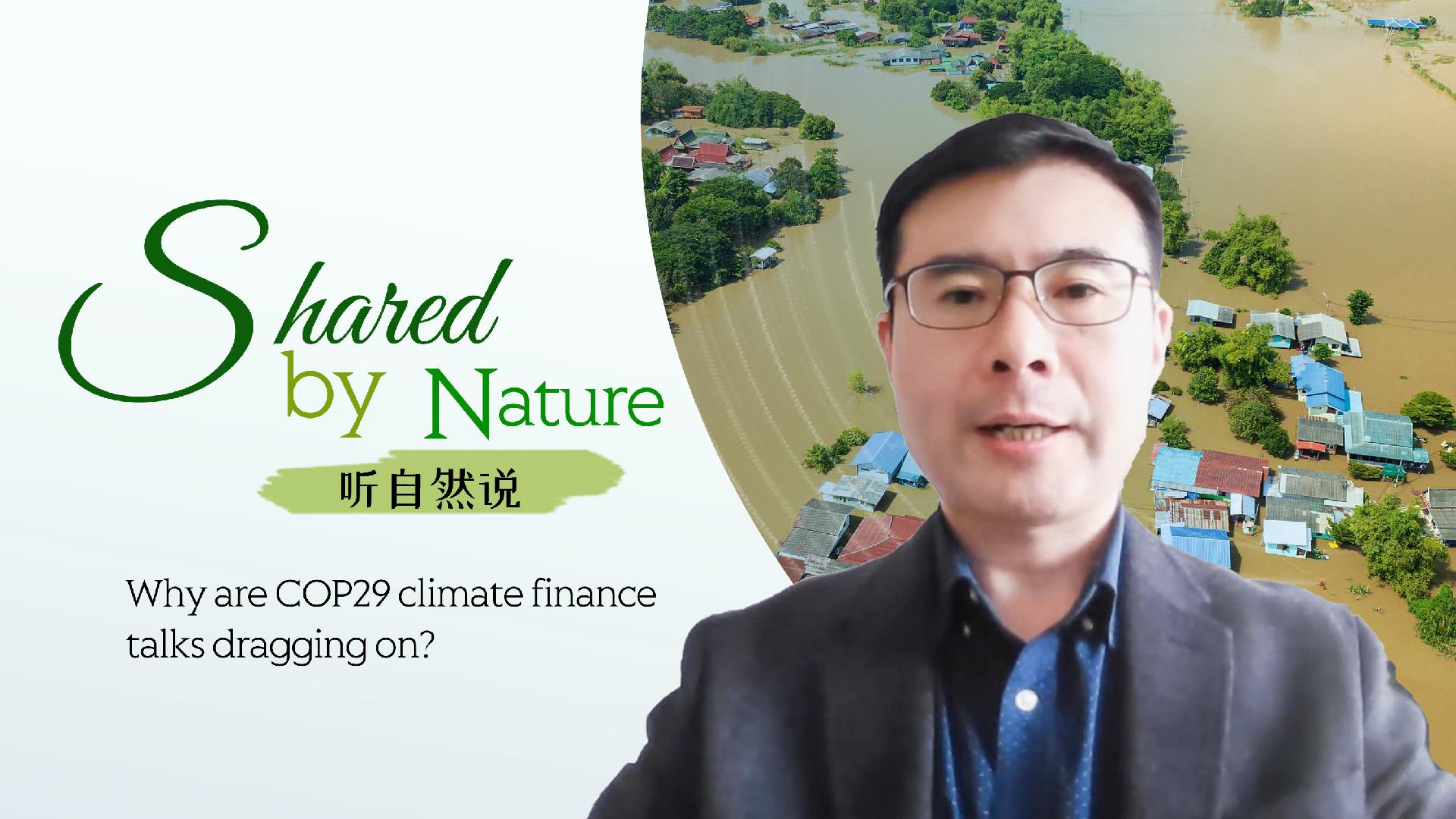 Why are COP29 climate finance talks dragging on? - CGTN