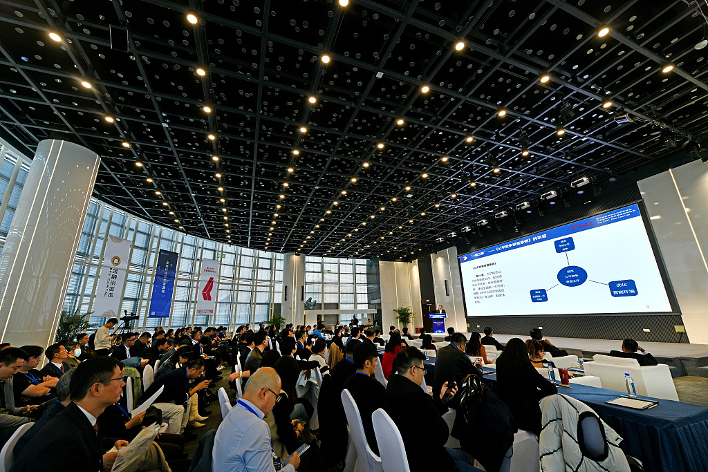 A seminar on promoting private economy is held in Beijing, November 16, 2024. /CFP