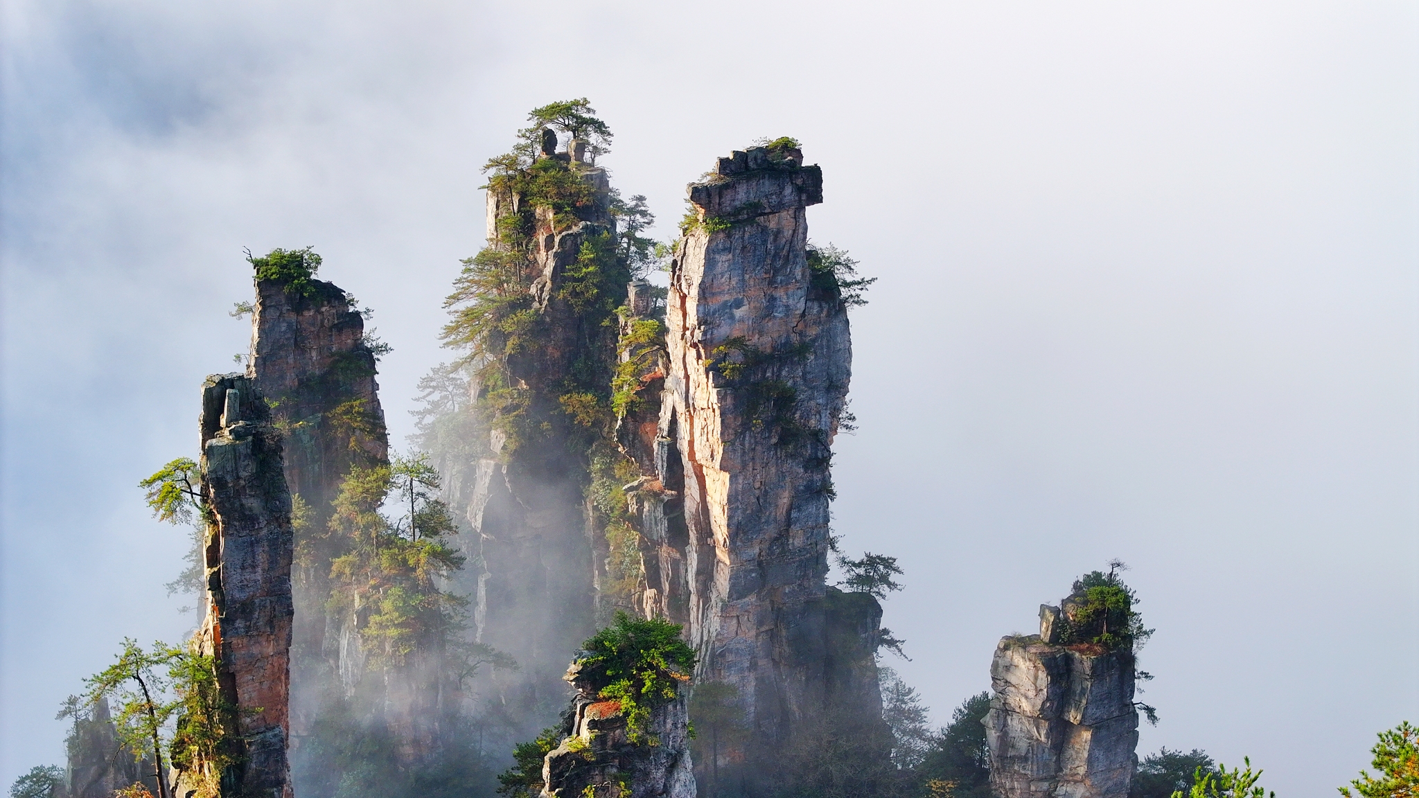 A sea of clouds is seen at the Wulingyuan scenic area in Hunan Province on November 21, 2024. /CFP