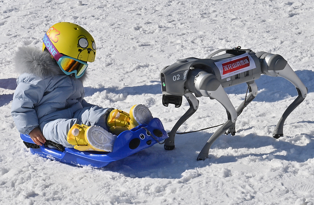 A robotic dog interacts with a tourist at Lianhua Mountain Ski Resort in Changchun, northeast China's Jilin Province, on November 22, 2024. /CFP