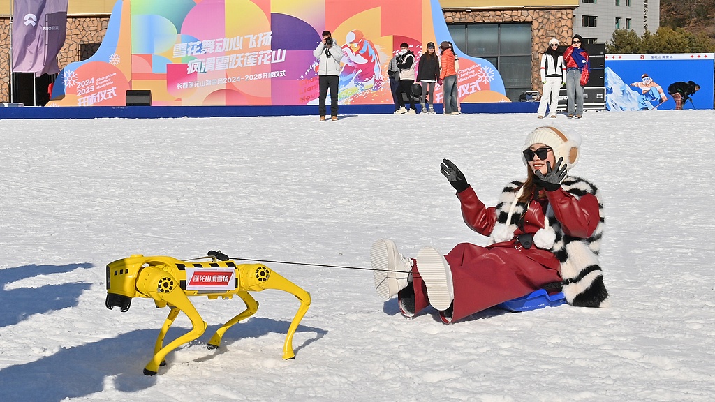 Robotic dogs go on duty at ski resort in China