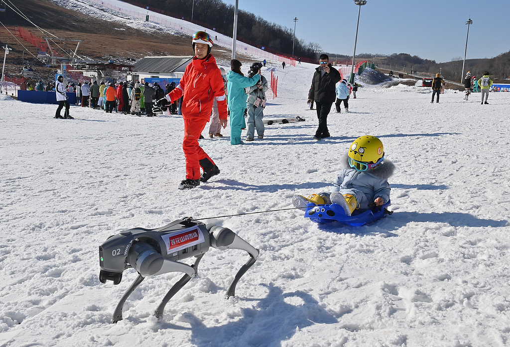 A tourist takes a sledge ride pulled by a robotic dog at Lianhua Mountain Ski Resort in Changchun, northeast China's Jilin Province, on November 22, 2024. /CFP