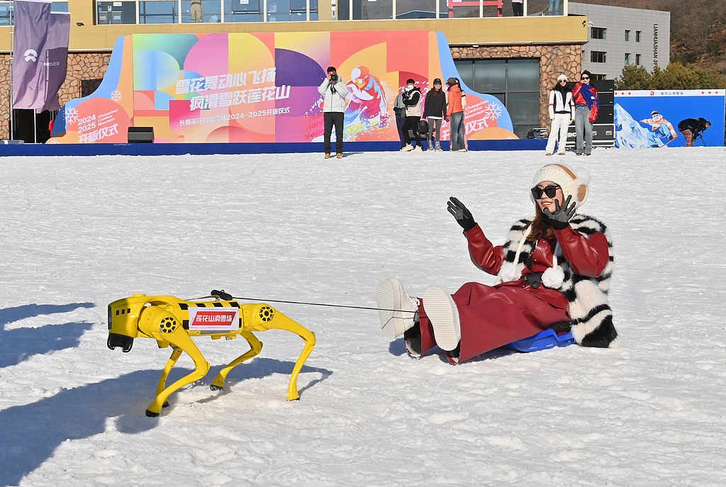 A tourist takes a sledge ride pulled by a robotic dog at Lianhua Mountain Ski Resort in Changchun, northeast China's Jilin Province, on November 22, 2024. /CFP