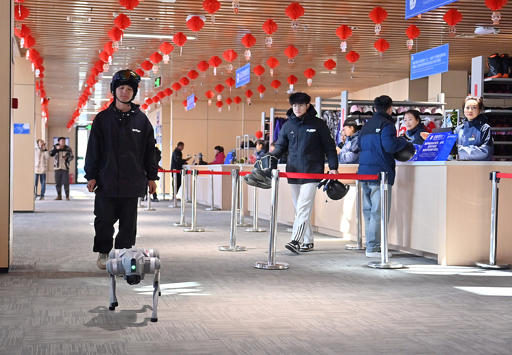 A robotic dog leads the way for a tourist at Lianhua Mountain Ski Resort in Changchun, northeast China's Jilin Province, on November 22, 2024. /CFP