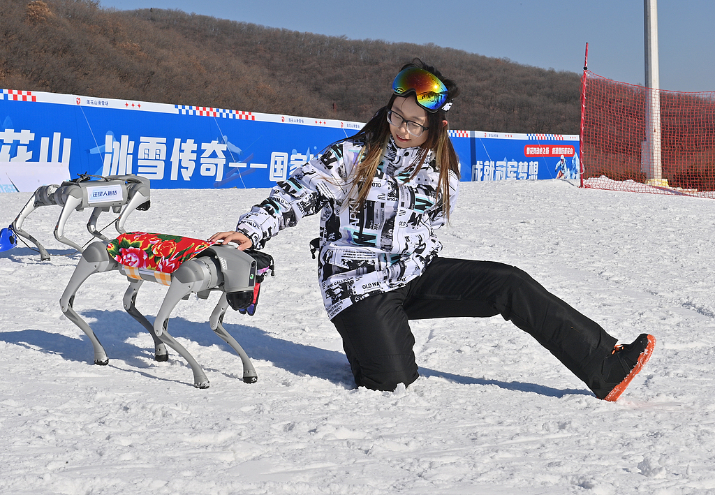 A robotic dog interacts with a tourist at Lianhua Mountain Ski Resort in Changchun, northeast China's Jilin Province, on November 22, 2024. /CFP