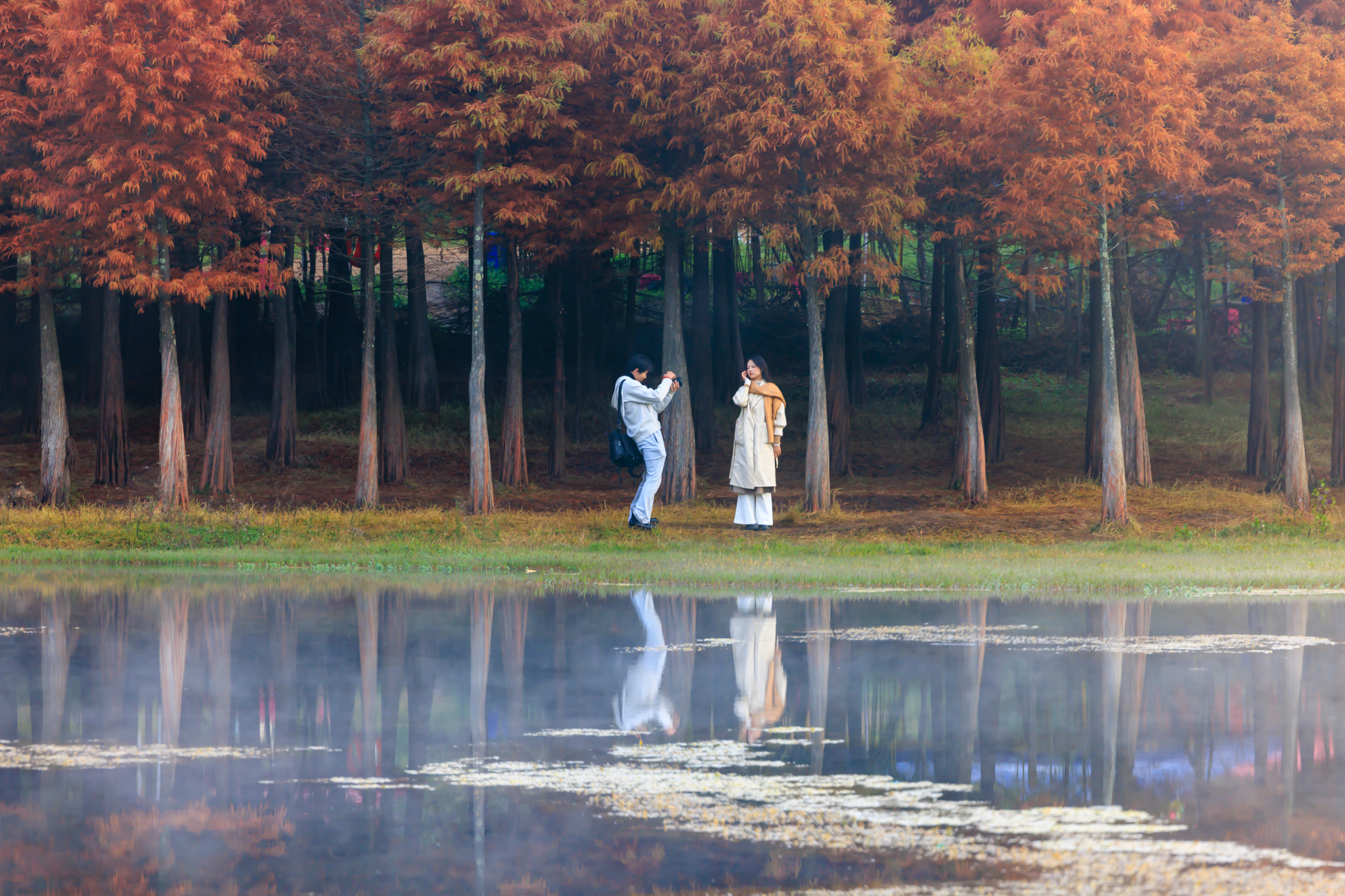 Visitors take photos under the dawn redwood trees at the Sanjiacun Reservoir in Kunming, Yunnan Province on November 24, 2024. /CFP