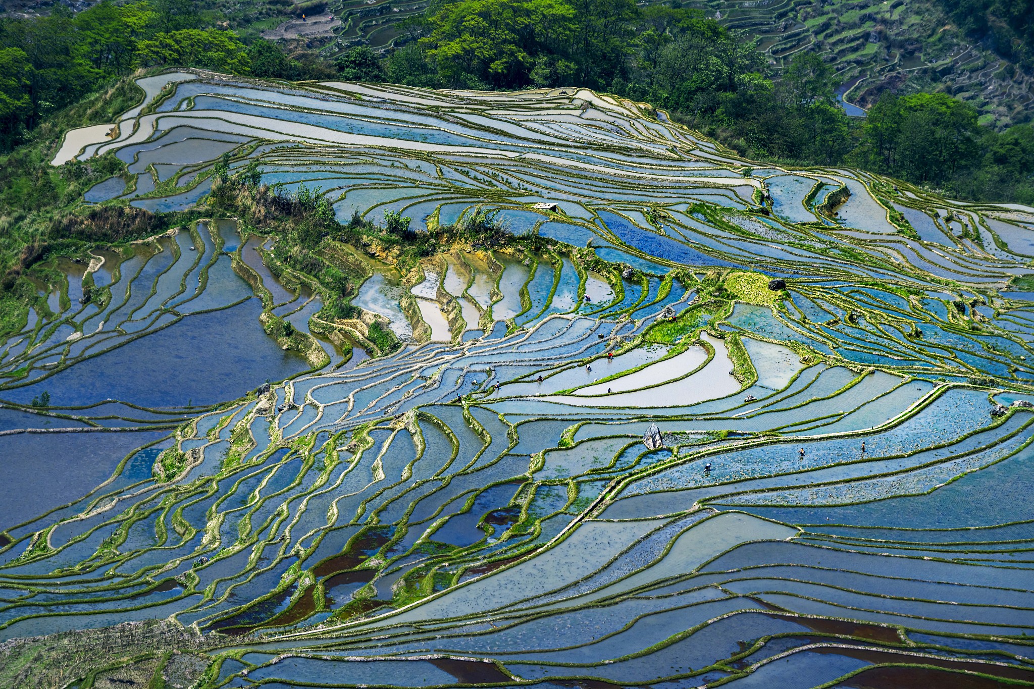 Water reflects the color of the sky as villagers work in the rice terraces near Azheke Village in spring. /CFP