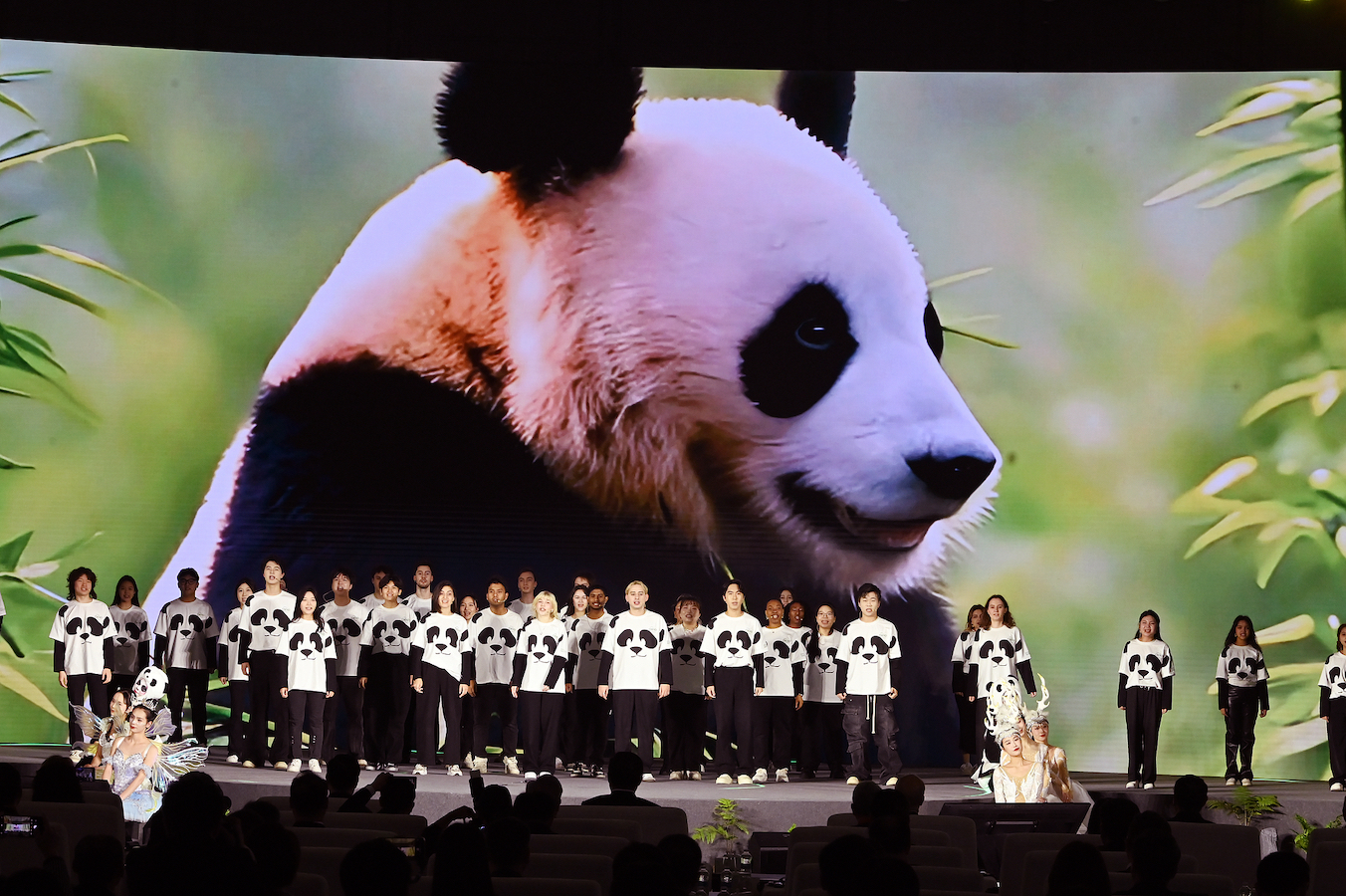 A performance at Global Panda Partners 2024, which is currently underway in Chengdu, Sichuan Province, southwest China, November 26, 2024. /CFP