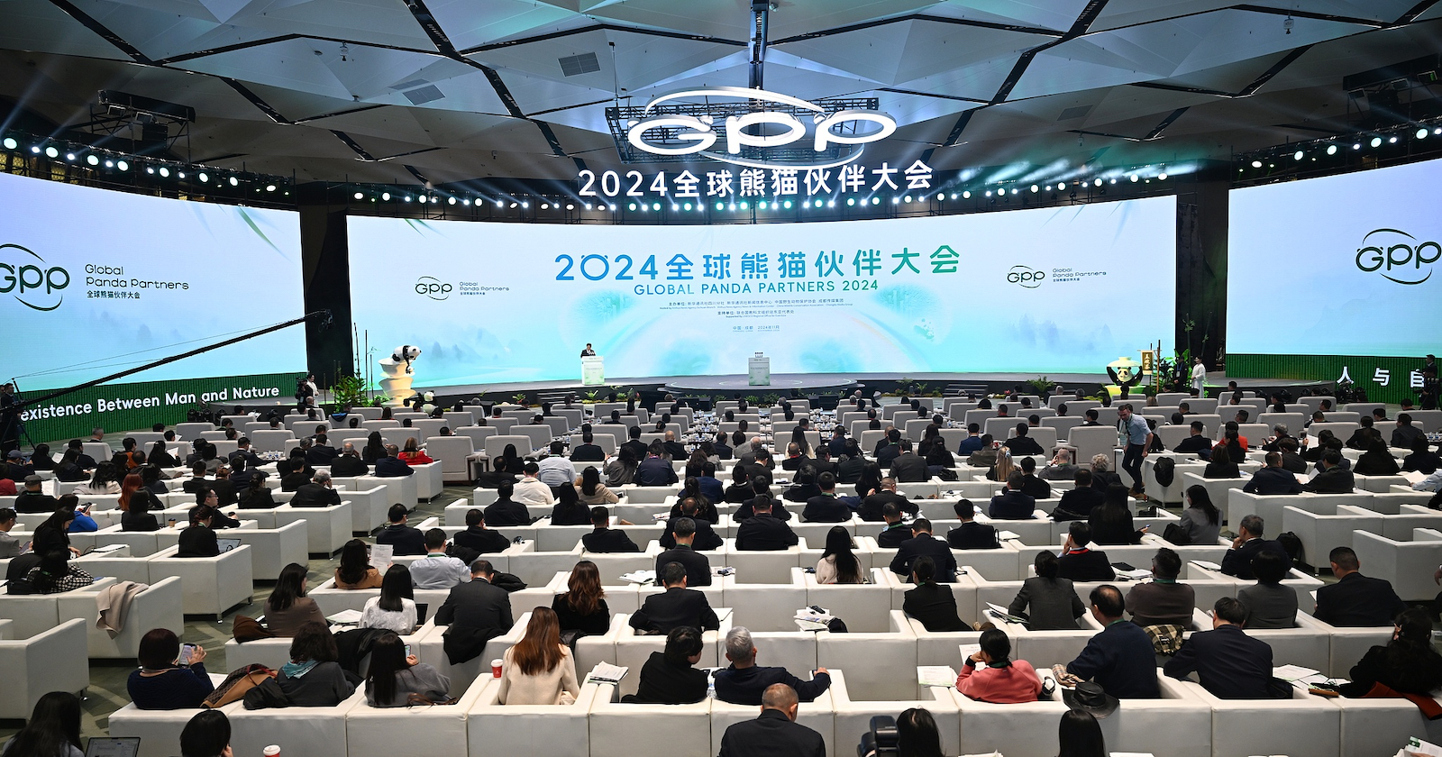 Attendees at Global Panda Partners 2024 in Chengdu, Sichuan Province, southwest China, November 26, 2024. /CFP