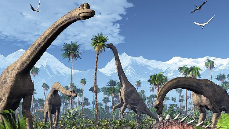 Fossilized excrement and regurgitation aid researchers in piecing together dinosaur ascendency