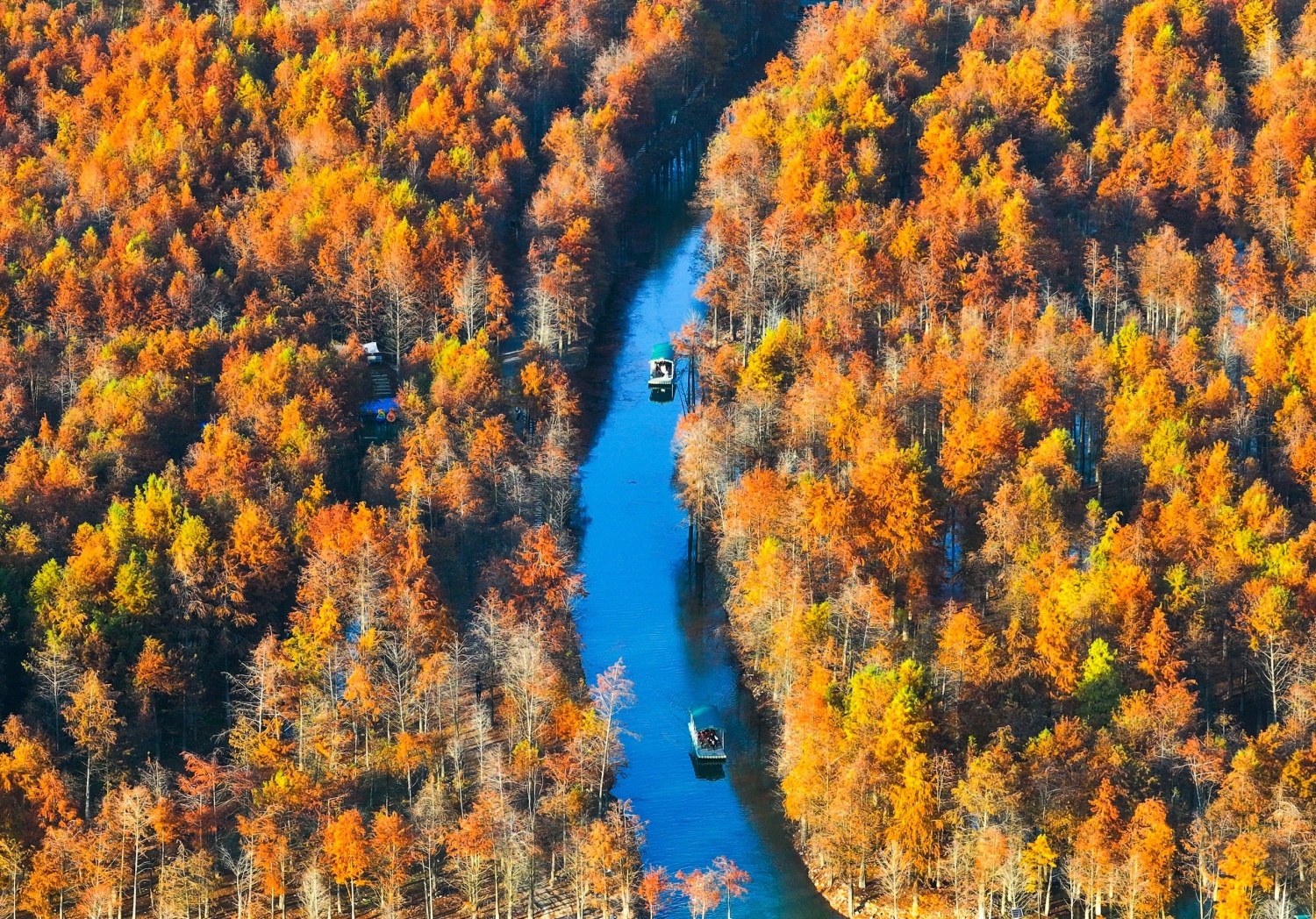 Tourists view bald cypress forests from a sightseeing raft in a wetland park in Ningguo, east China's Anhui Province on November 27, 2024. /CFP