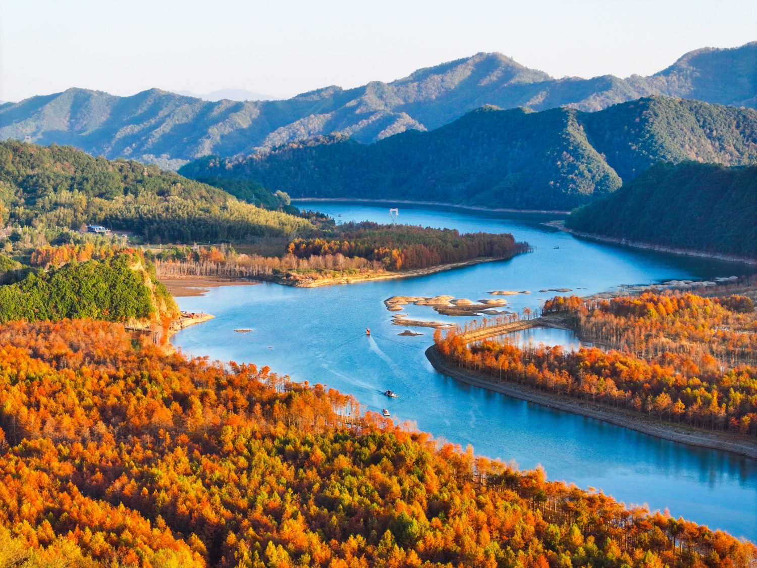 Bald cypress forests are seen in a wetland park in Ningguo, east China's Anhui Province on November 27, 2024. /CFP