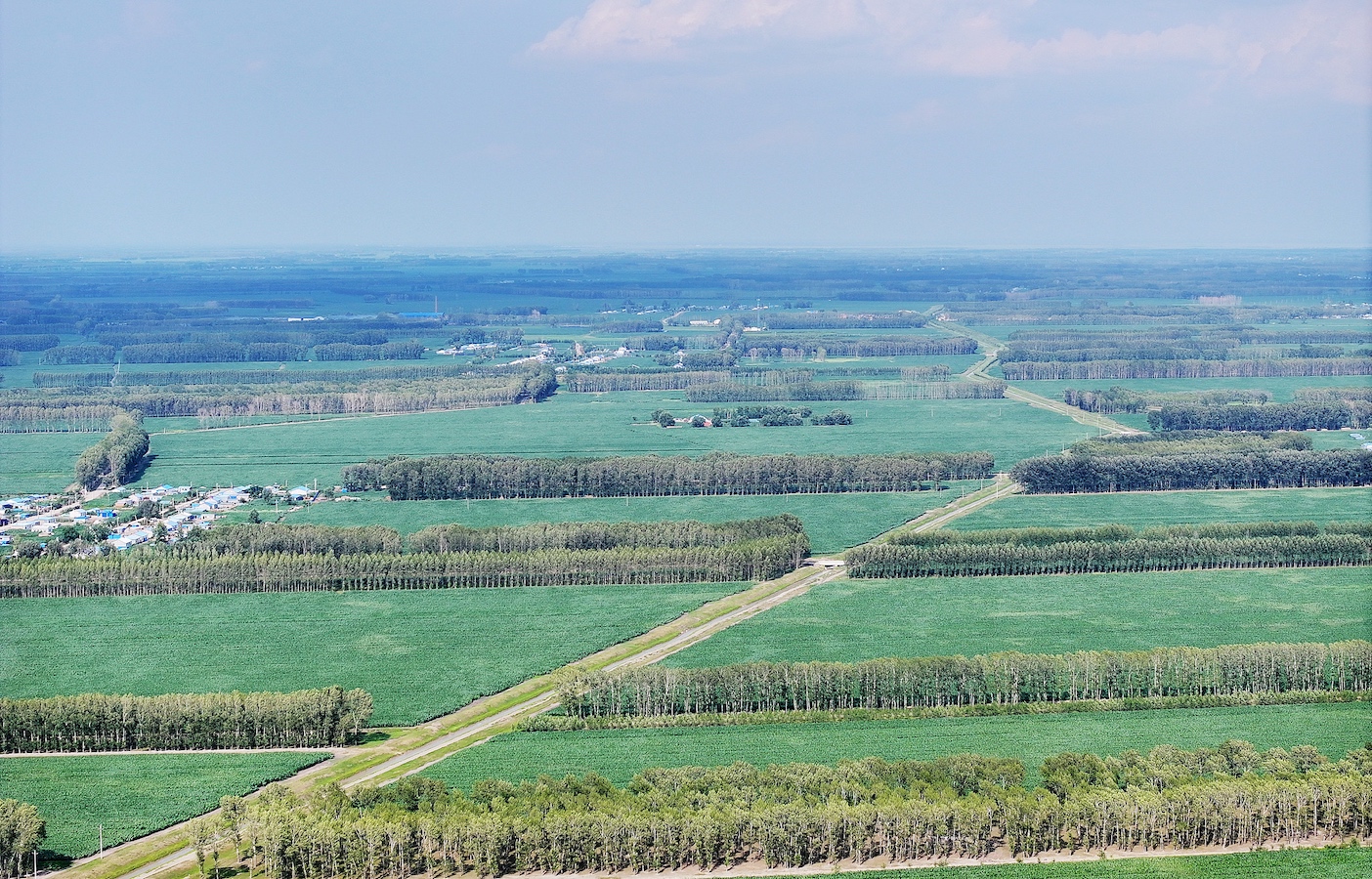 The TSFP in Daqing City, Heilongjiang Province, northeast China, July 20, 2024. /CFP