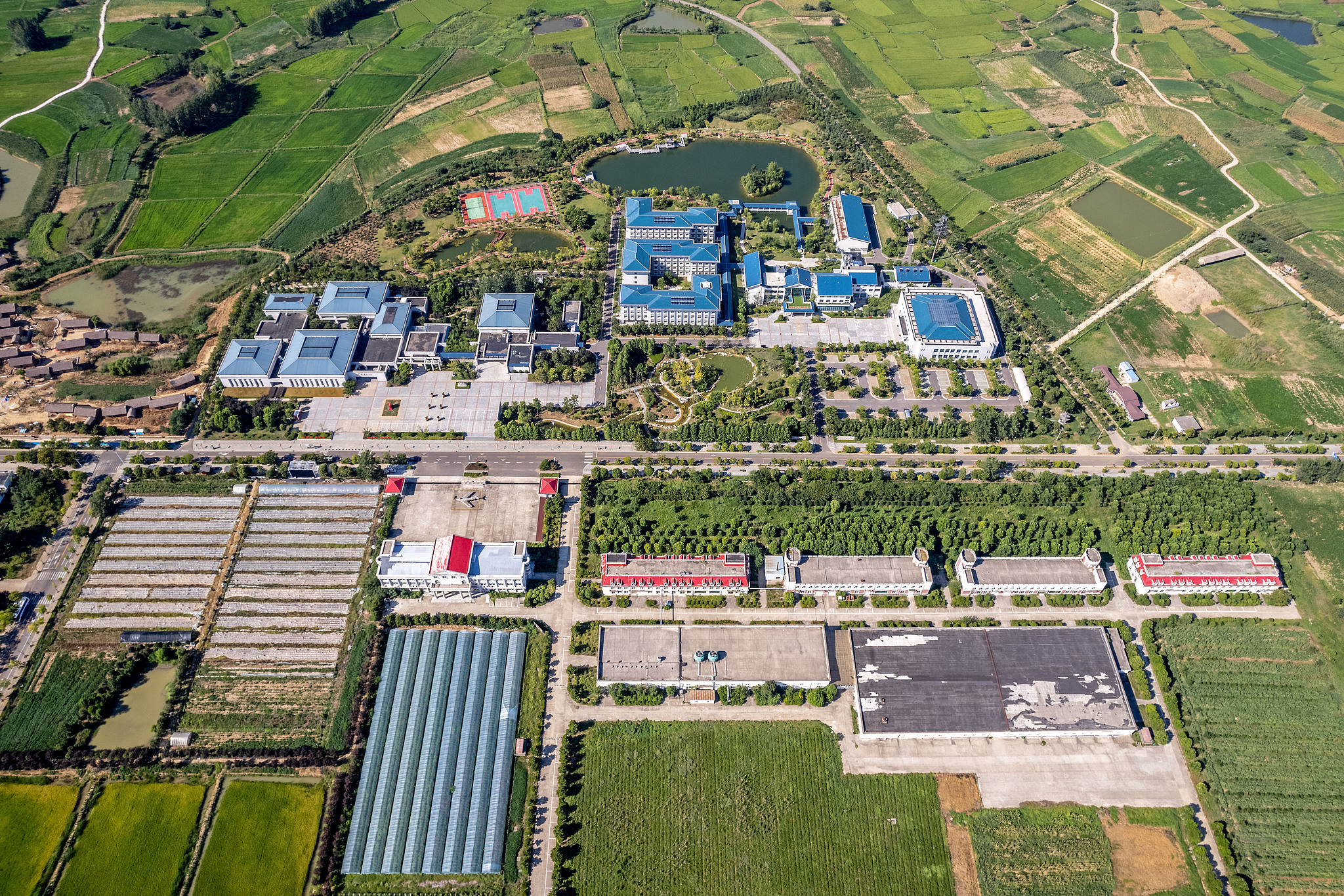 Aerial view of Xiaogang Village. /CFP