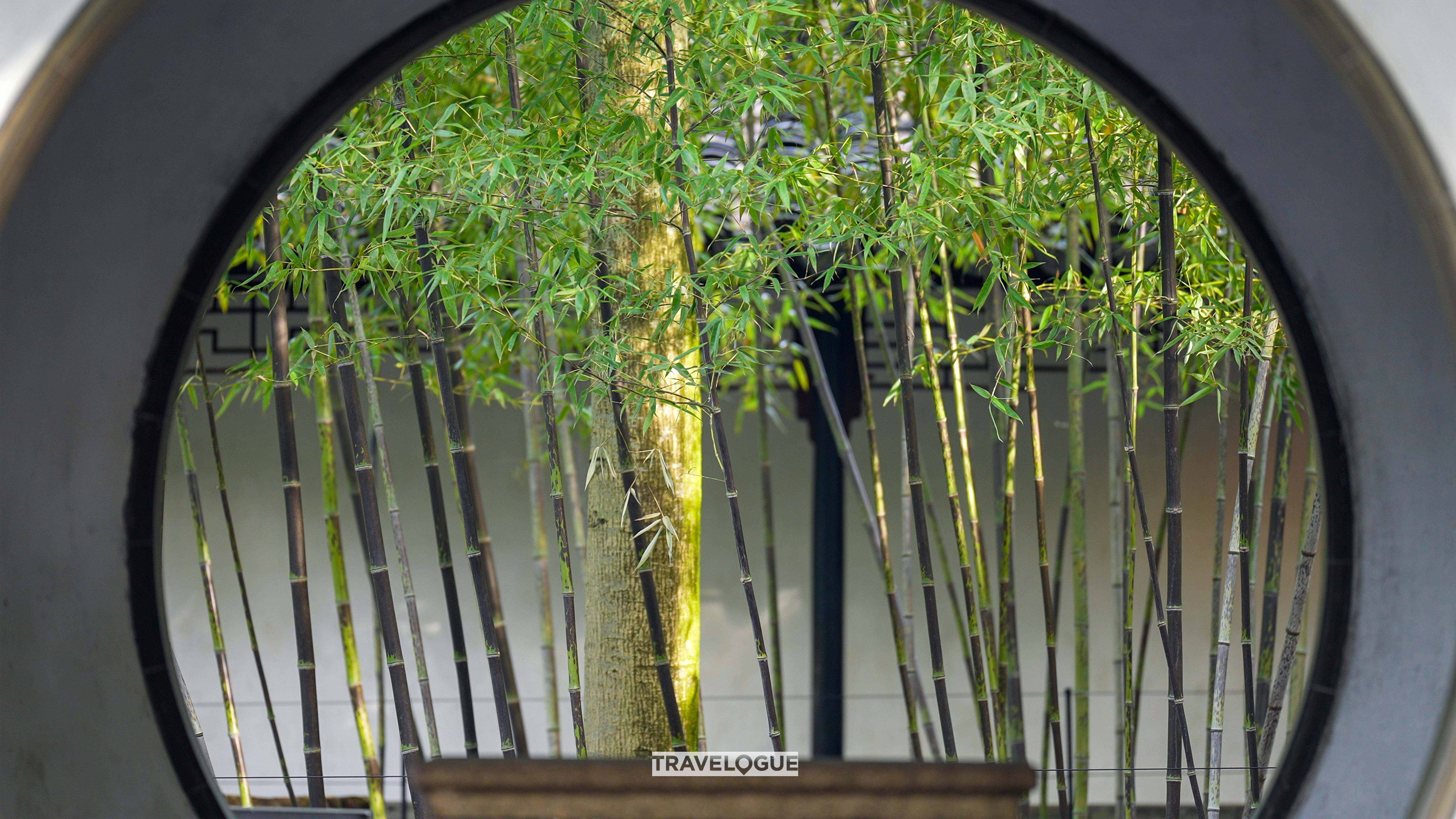 A view of the Wuzhu Youju Pavilion located in the Humble Administrator's Garden in Suzhou, Jiangsu Province /CGTN