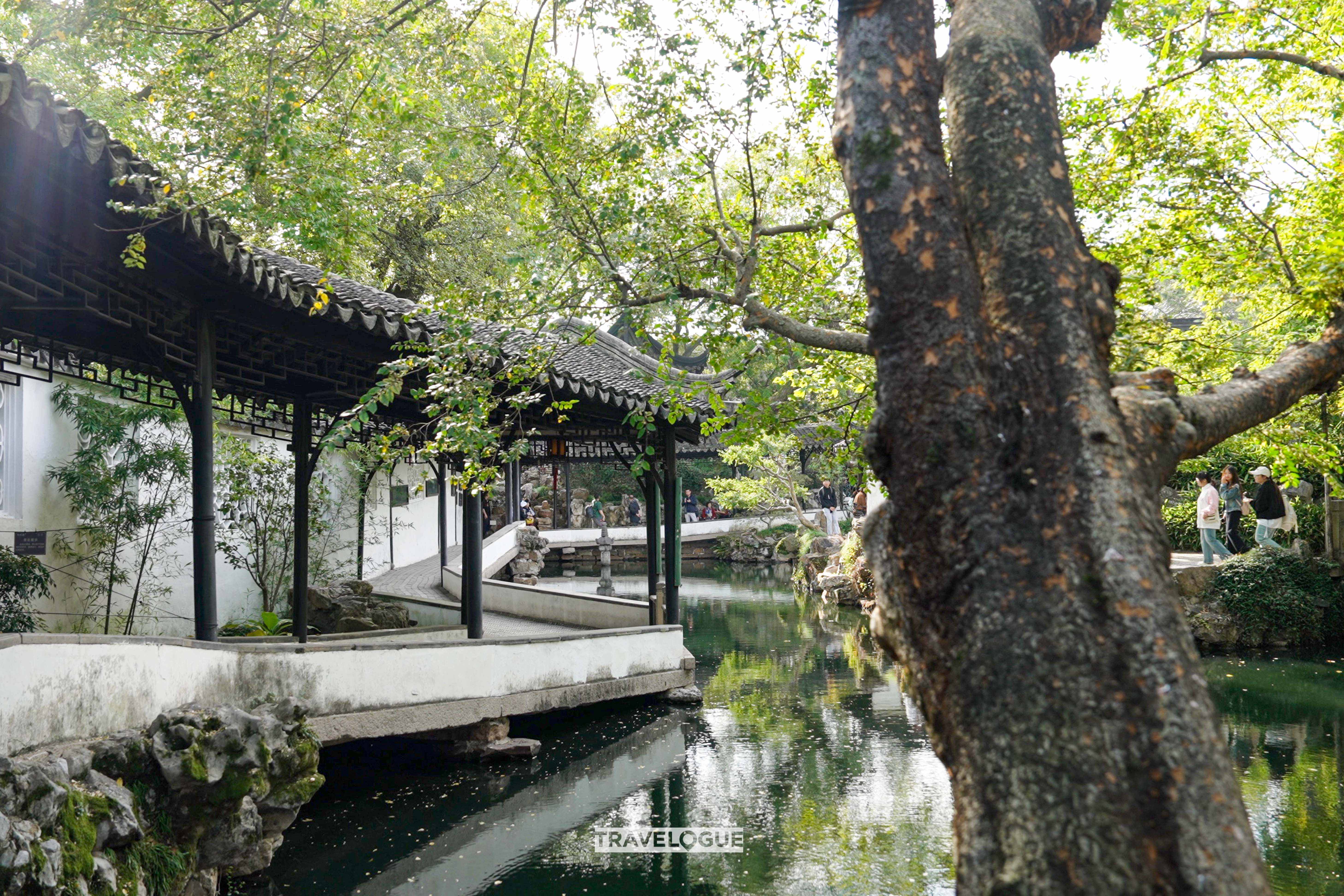 The Humble Administrator's Garden is the largest classical garden in Suzhou, Jiangsu Province. /CGTN