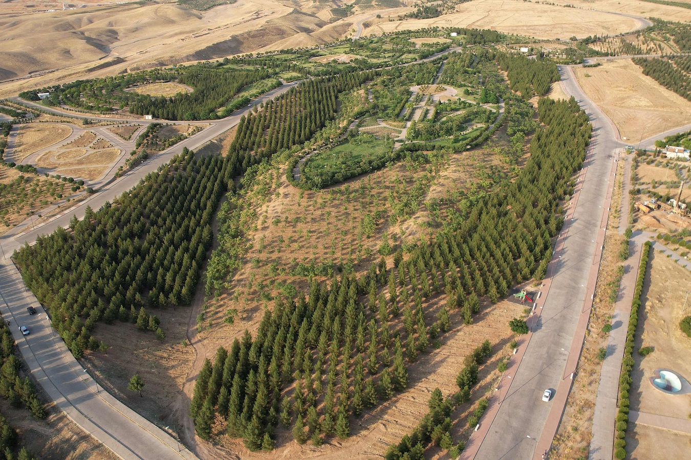 As an effort to battle the destructive effects of deforestation in the region, trees are planted in the Kurdish city of Sulaimaniyah, Iraq, July 10, 2024. /CFP