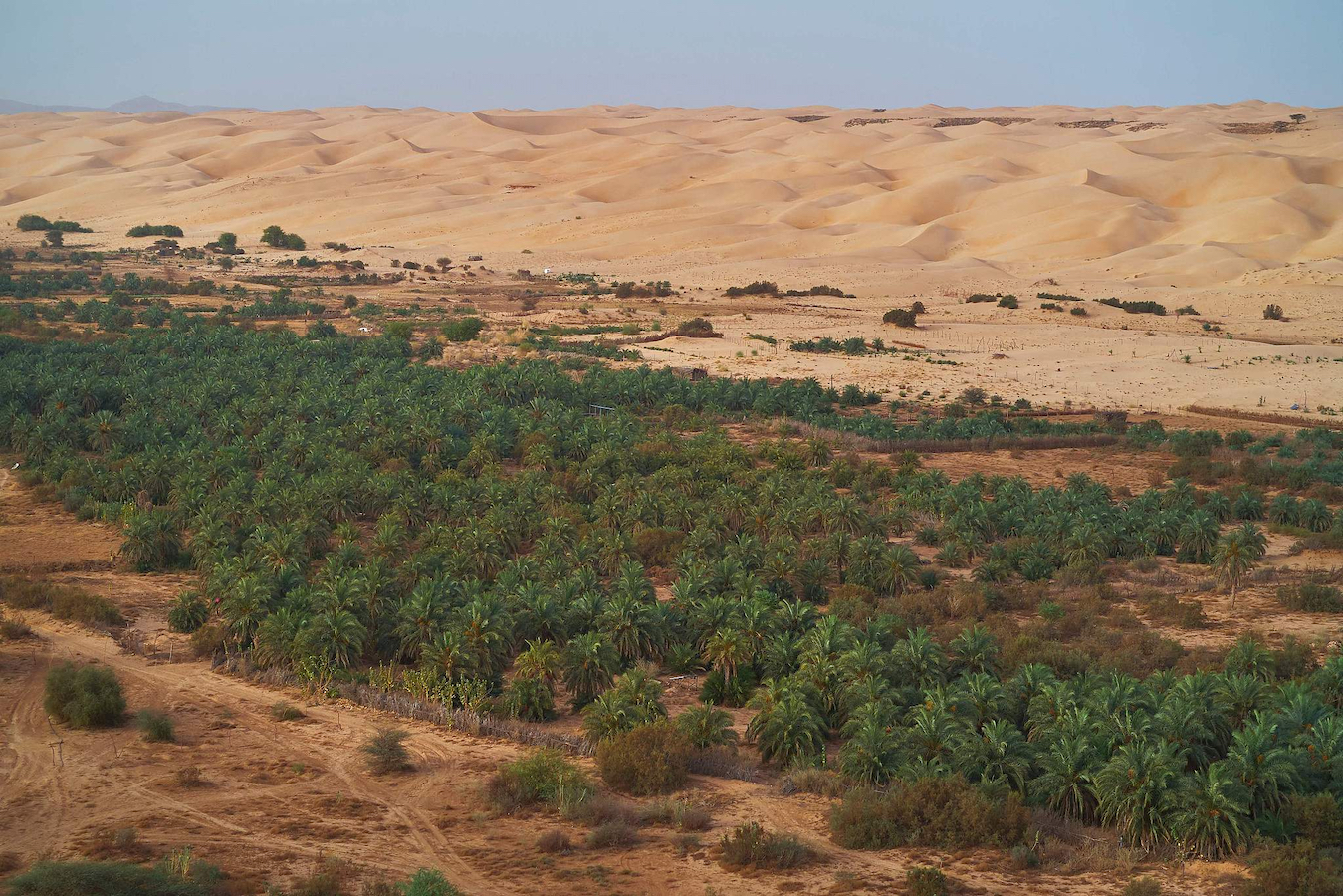 The oasis of Maaden el Ervane, a village in the Adrar region of Mauritania, June 21, 2024. /CFP