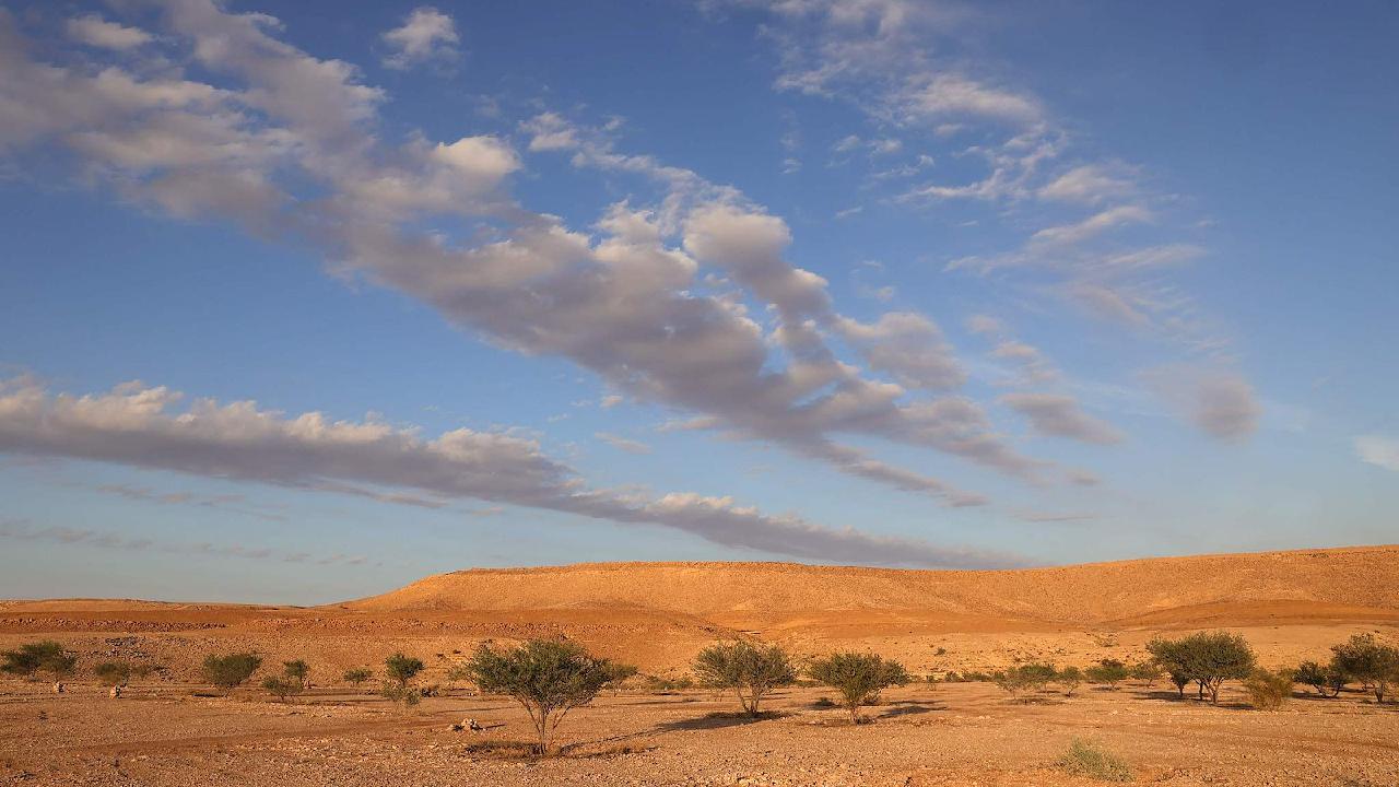 COP16, focusing on desertification, launches in Saudi Arabia