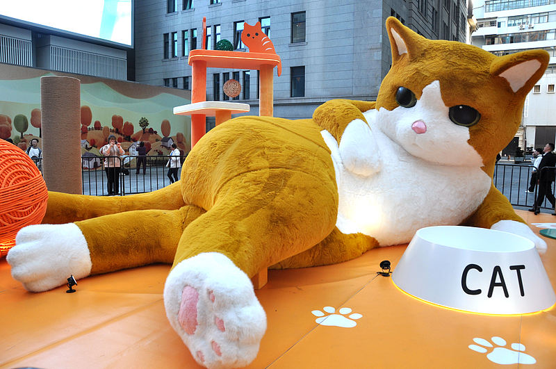 A giant cat installation is seen in Shanghai, December 1, 2024. /CFP