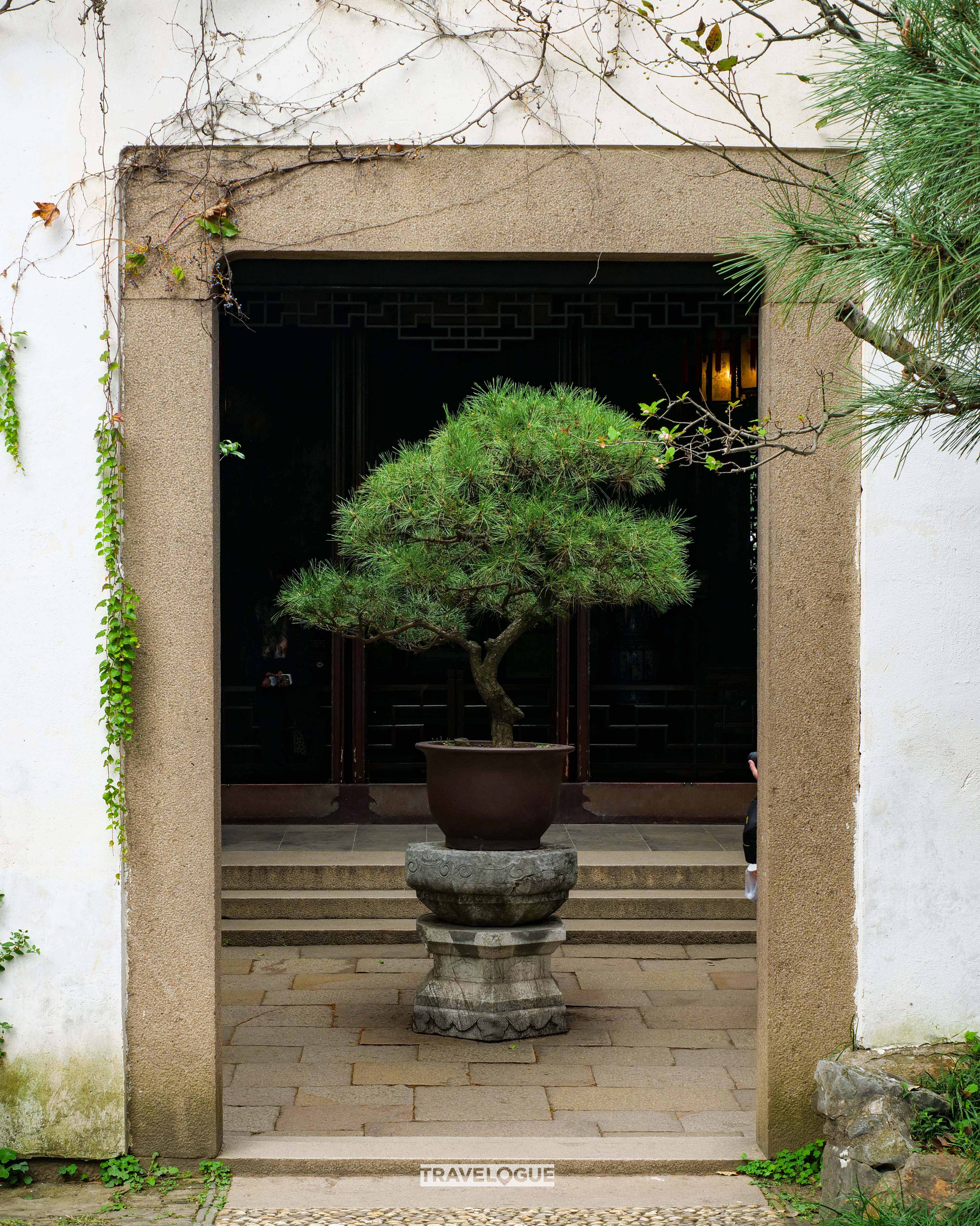 Examples of framing in the classical gardens of Suzhou, Jiangsu Province. /CGTN