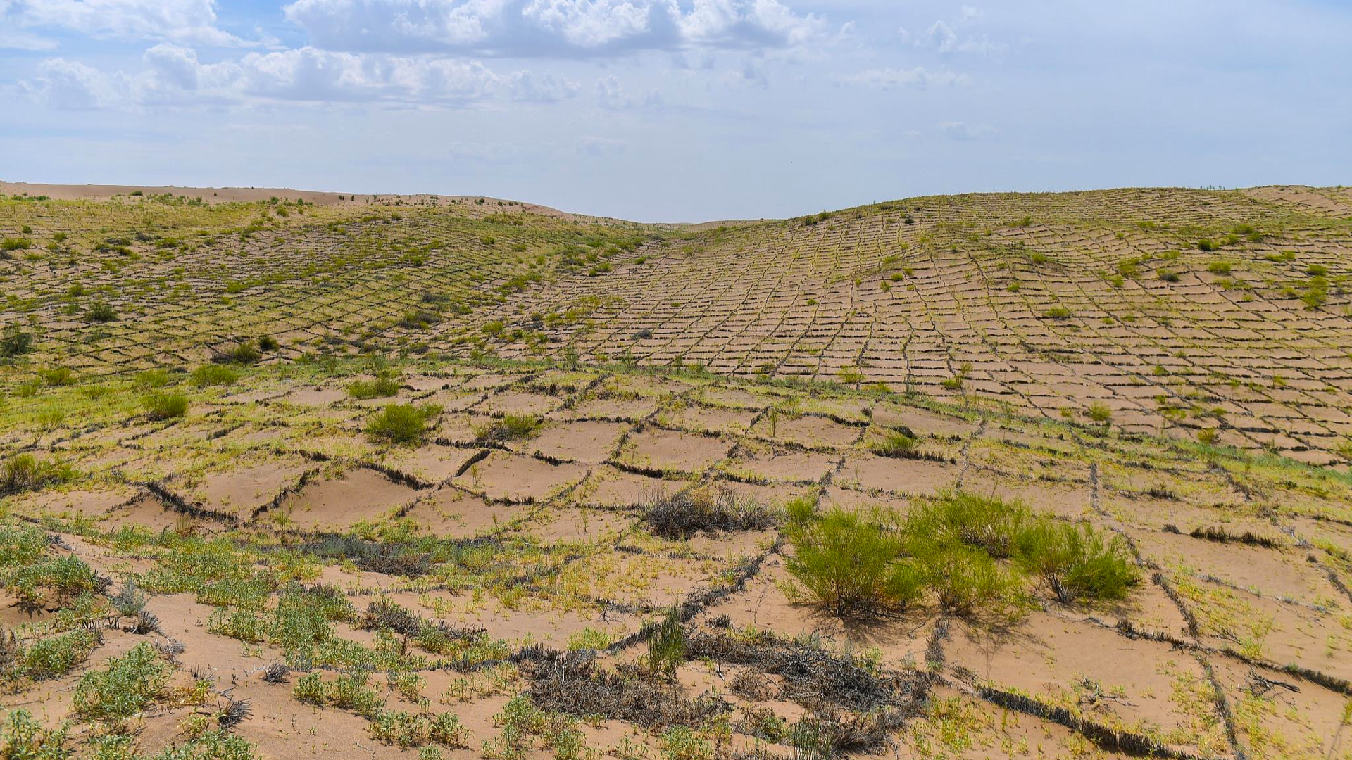 How is China Responding to Desertification?