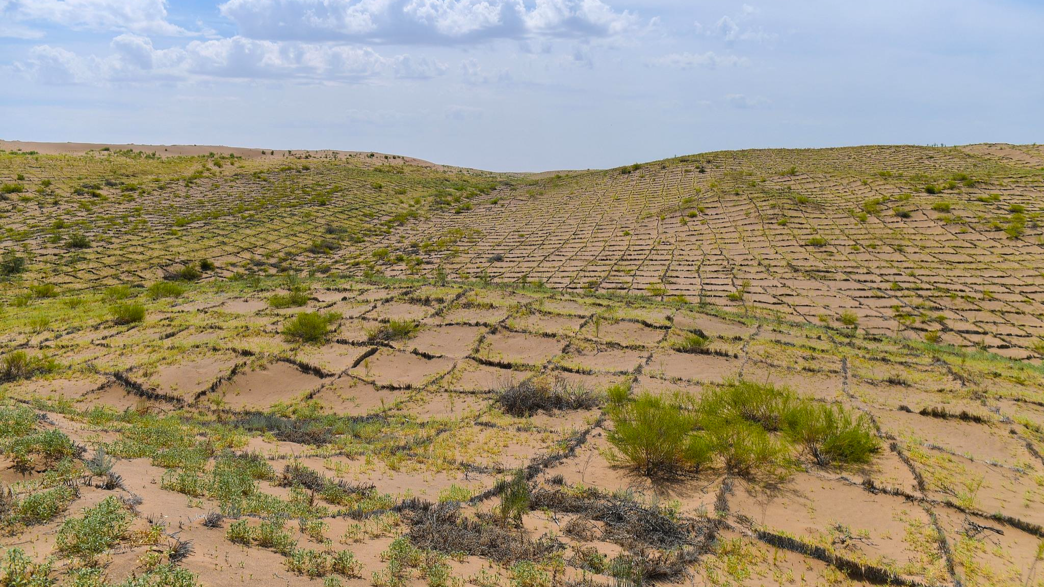 What's China's answer sheet to desertification?