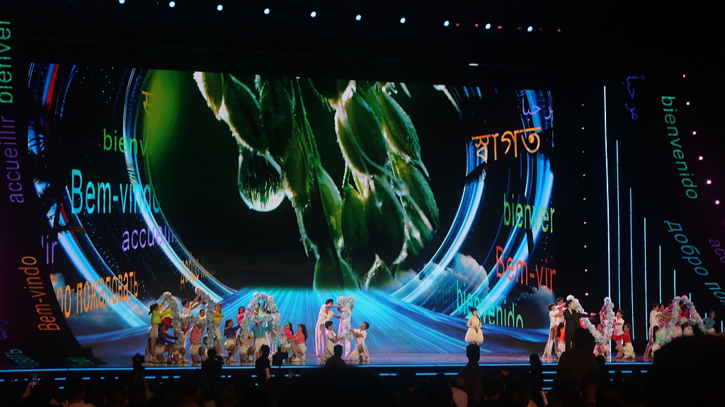 The opening ceremony of the 6th Hainan Island International Film Festival takes place in Sanya, Hainan on December 6, 2024. /CFP