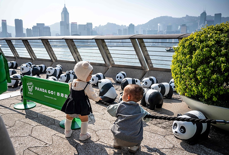 Thousands of giant panda sculptures make an appearance on the Avenue of Stars in Hong Kong, December 7, 2024. /CFP