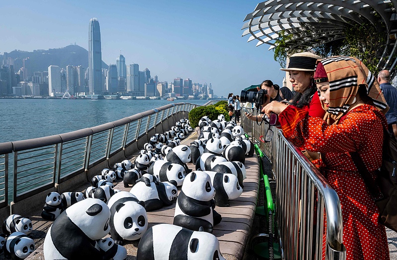 Thousands of giant panda sculptures make an appearance on the Avenue of Stars in Hong Kong, December 7, 2024. /CFP