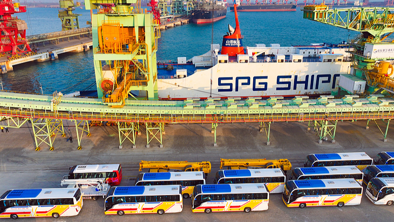 Cars are being loaded for export at Rizhao Port, east China's Shandong Province, Dec. 1, 2024. /CFP