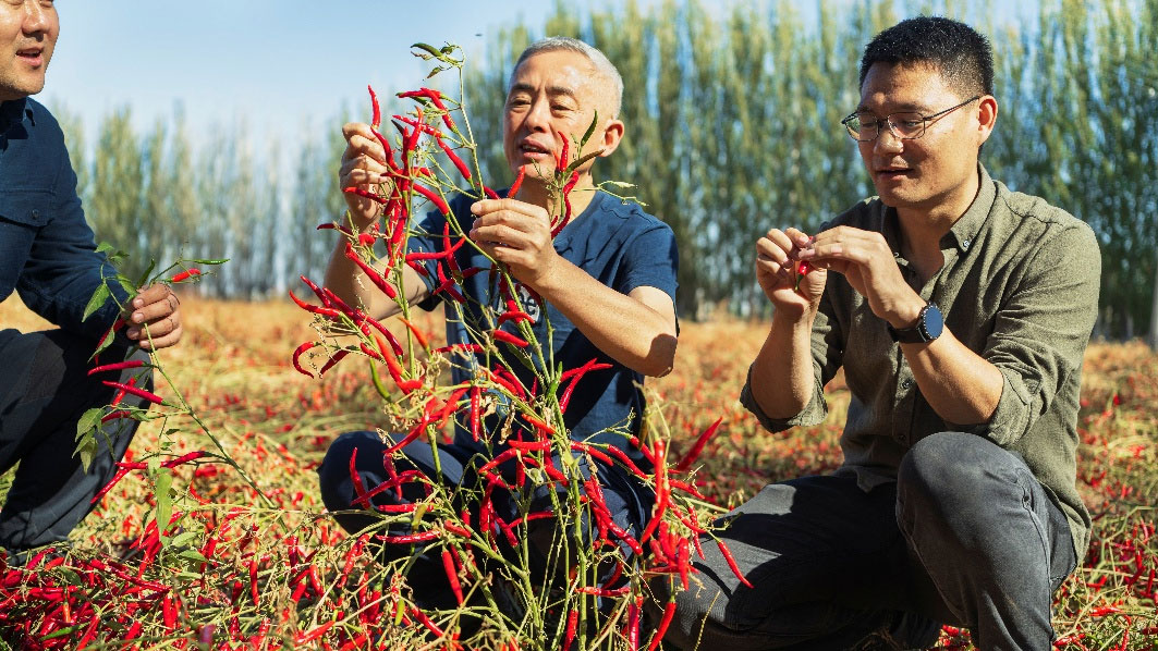 Lu Qi (C) inspects a farm. /China Media Group