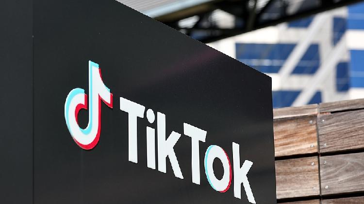 ByteDance and TikTok Request Hold on U.S. Ban While Awaiting Supreme Court Decision