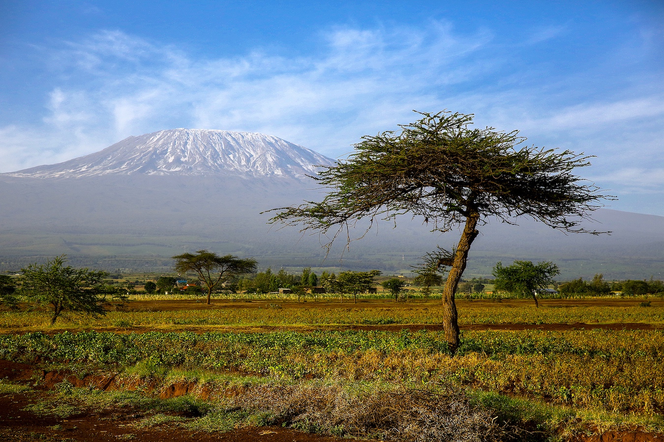 Mount Kilimanjaro in Tanzania. /CFP