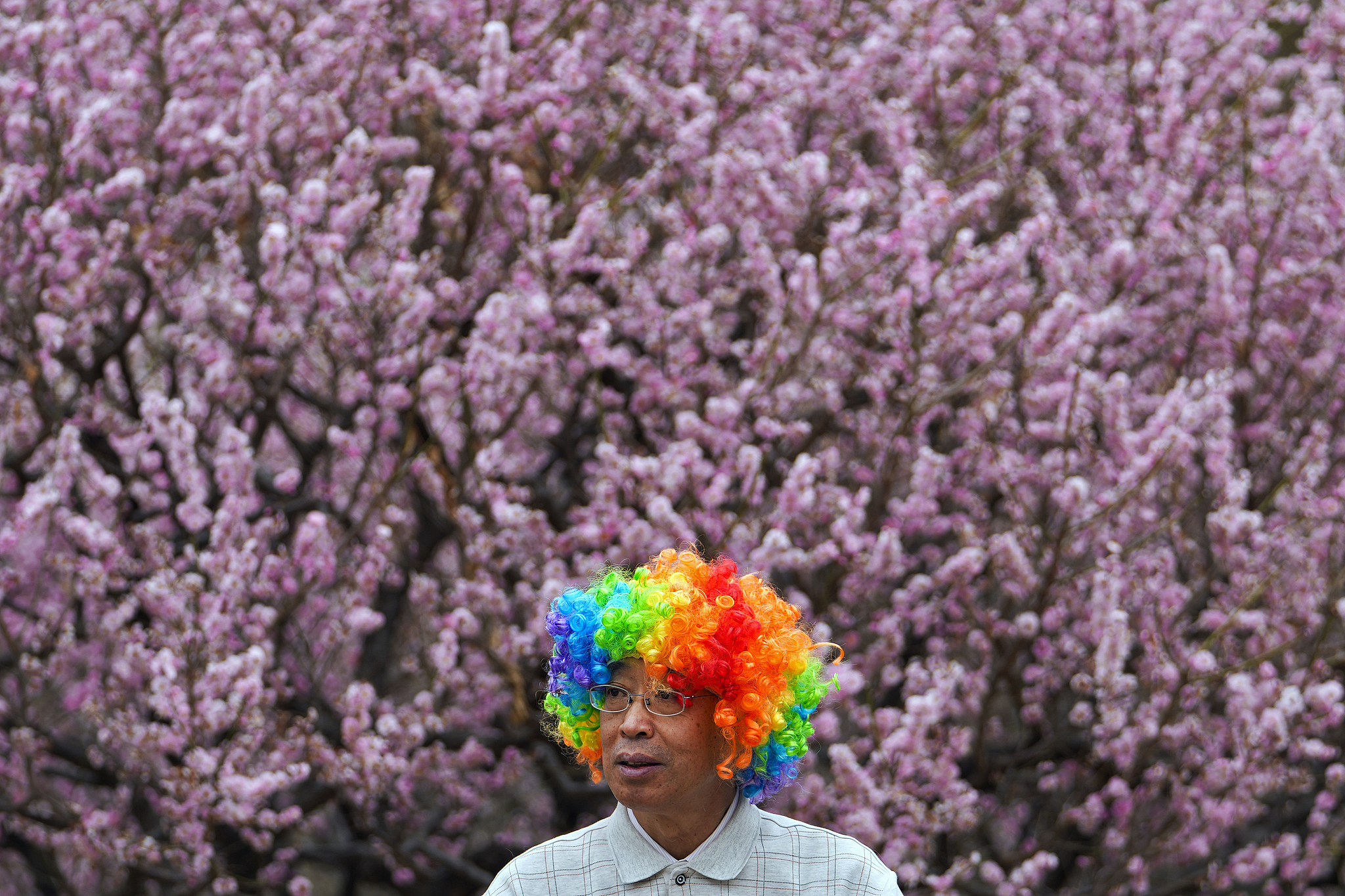 A man wearing headgear rests near spring blossom flowers at a public park in Beijing, April 1, 2024. /CFP