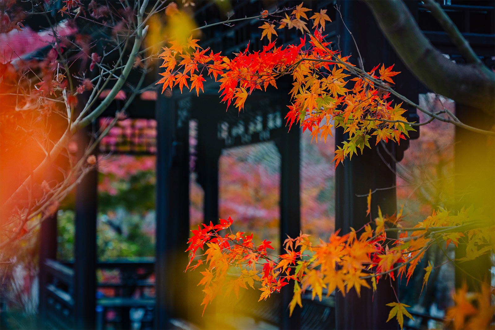 Qixia Mountain in Nanjing, Jiangsu Province is seen adorned with red leaves on December 9, 2024. /CFP