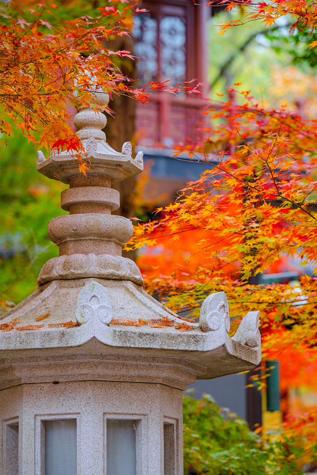 Qixia Mountain in Nanjing, Jiangsu Province is seen adorned with red leaves on December 10, 2024. /CFP