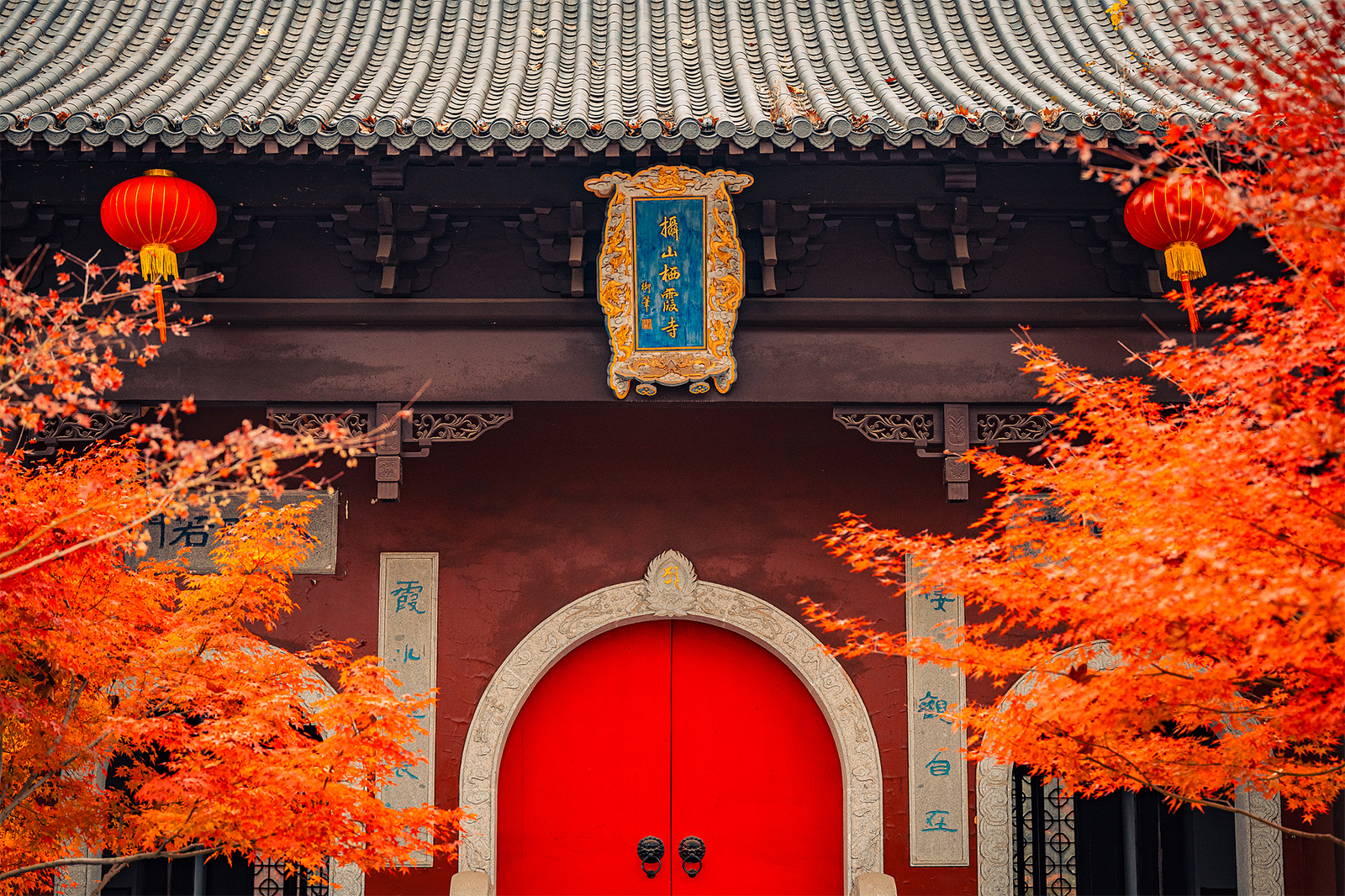 Qixia Mountain in Nanjing, Jiangsu Province is seen adorned with red leaves on December 10, 2024. /CFP