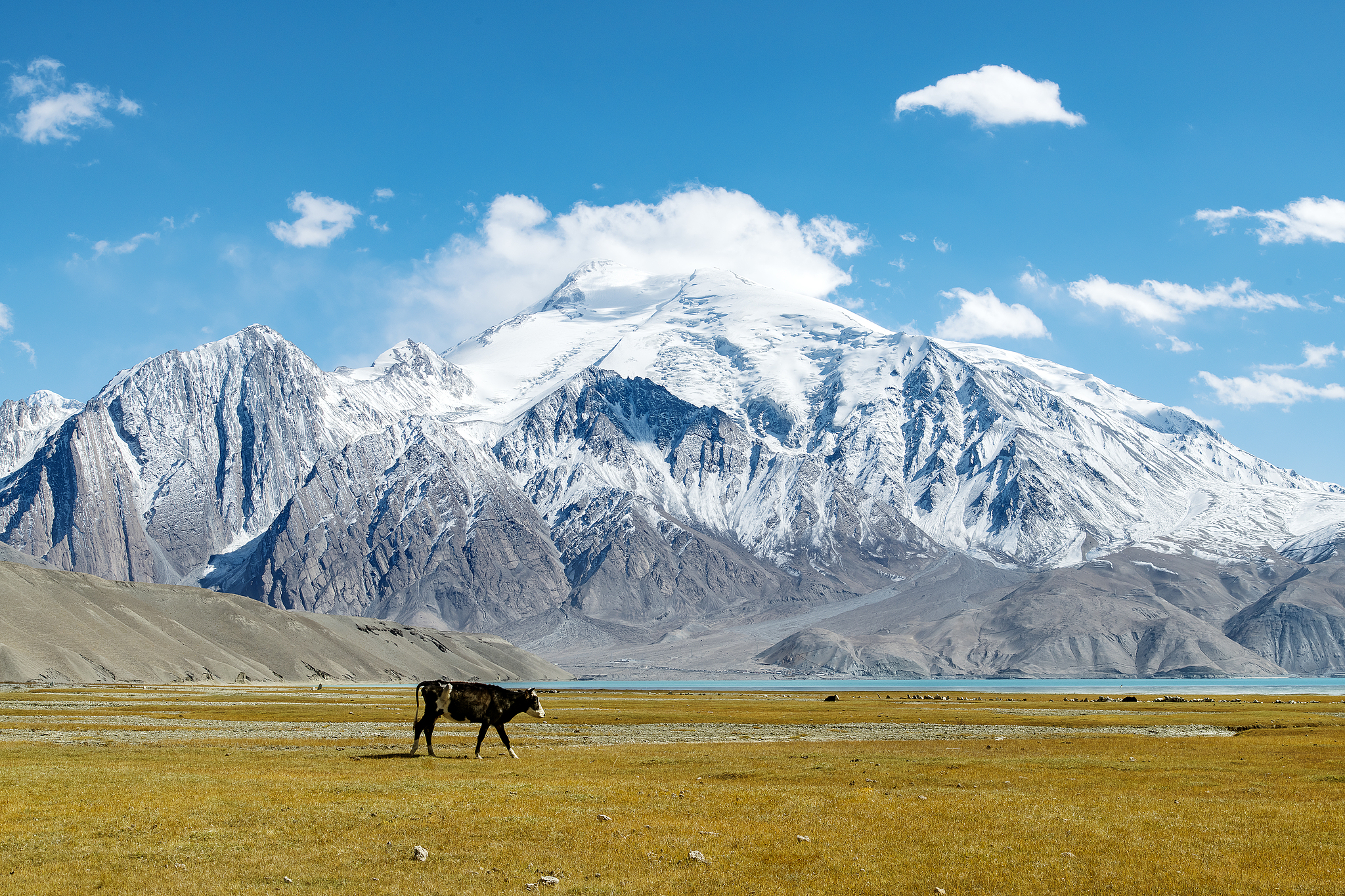 #TalkXinjiang｜Baisha Lake, a wonderous sight